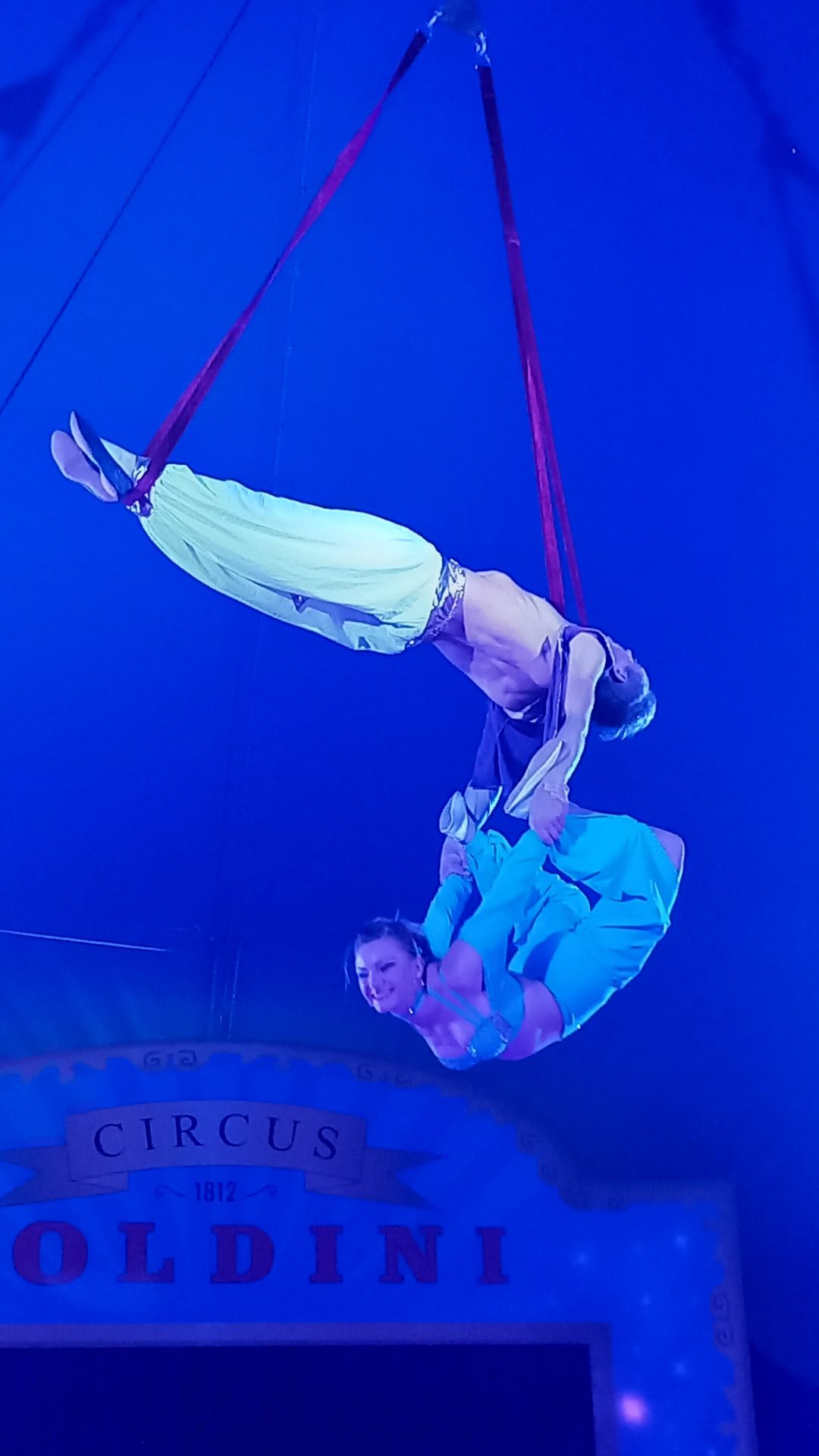 Circus erstmals seit 50 Jahren wieder in Schambach