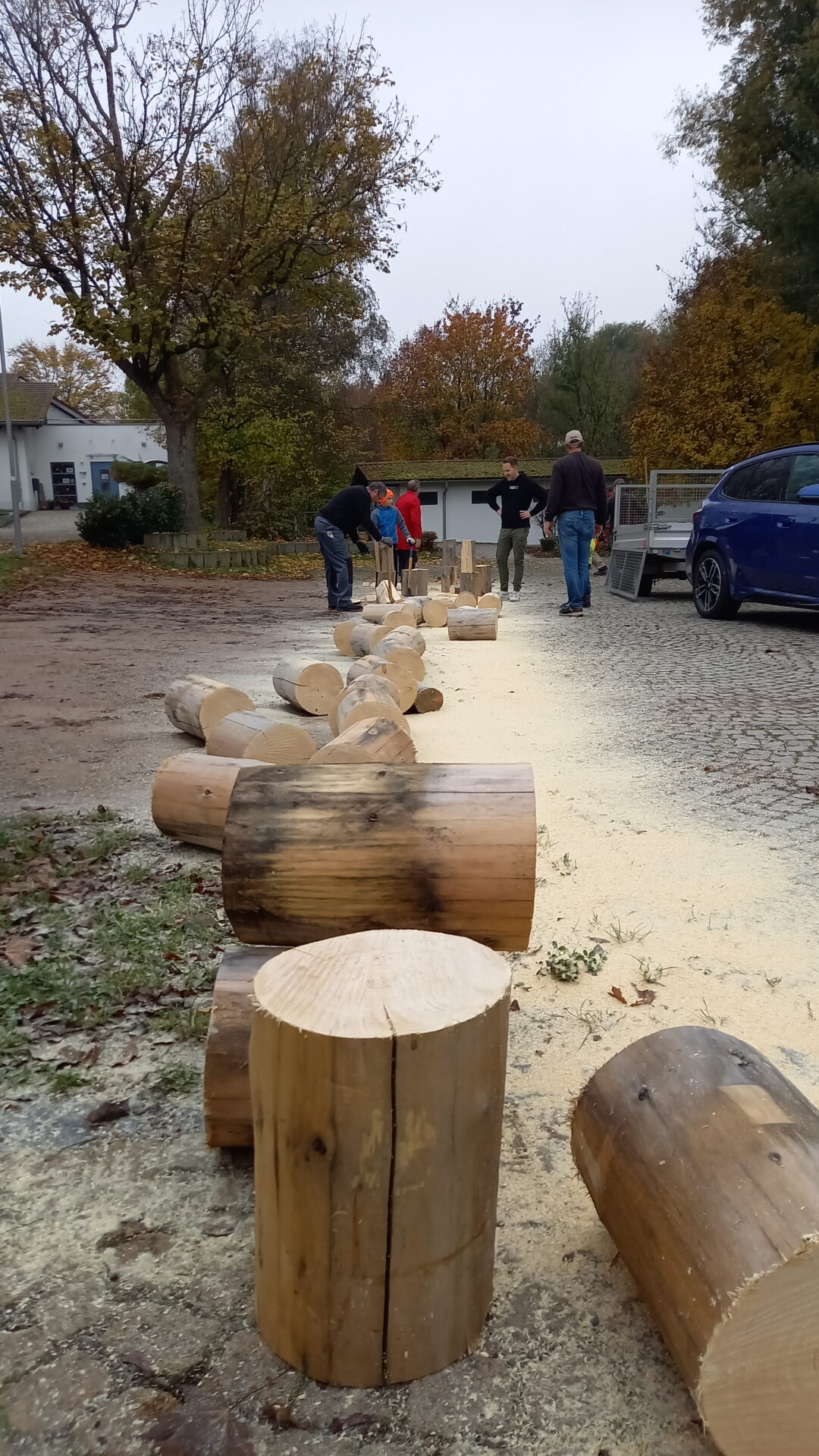 Maibaum wurde umgelegt