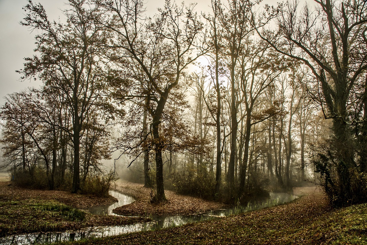 Straßkirchner Wasser- und Bodenverband hielt Versammlung ab